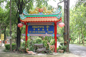 มหายานเต๋า